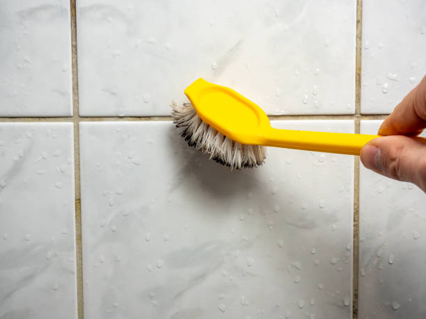 Best Localized Mold Remediation (e.g., coastal areas, humid climates) in Edmore, MI