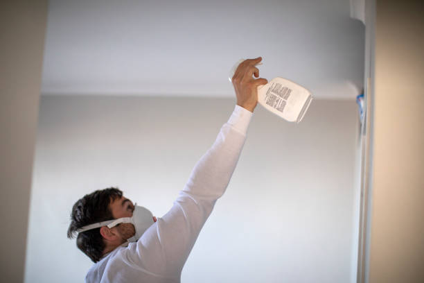 Best White Mold Remediation in Edmore, MI