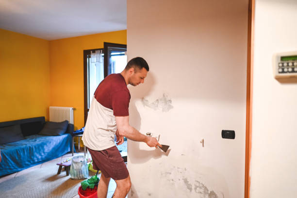 Best Post-Remediation Services in Edmore, MI